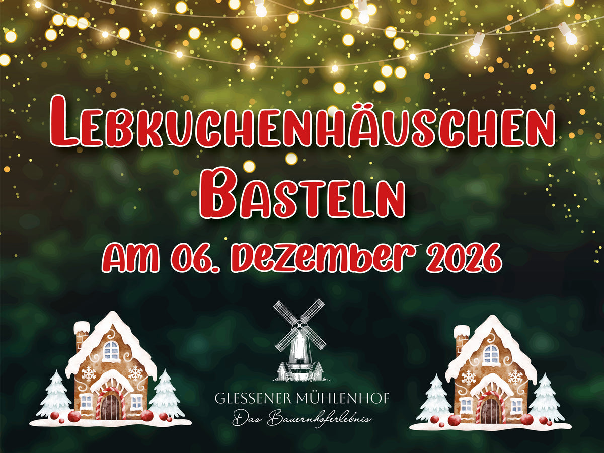 Lebkuchenhaus basteln 2026